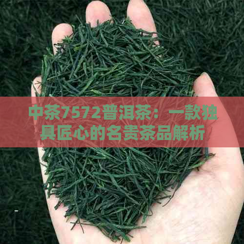 中茶7572普洱茶：一款独具匠心的名贵茶品解析