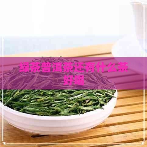 绿茶普洱茶还有什么茶好喝