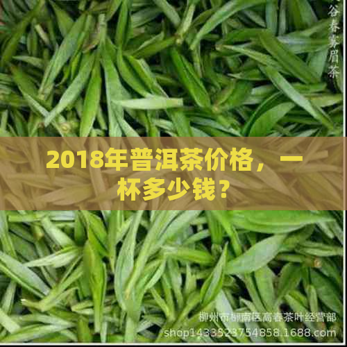 2018年普洱茶价格，一杯多少钱？