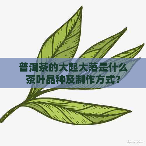 普洱茶的大起大落是什么茶叶品种及制作方式？