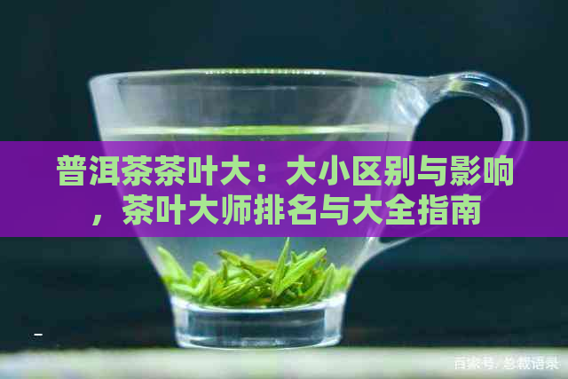 普洱茶茶叶大：大小区别与影响，茶叶大师排名与大全指南