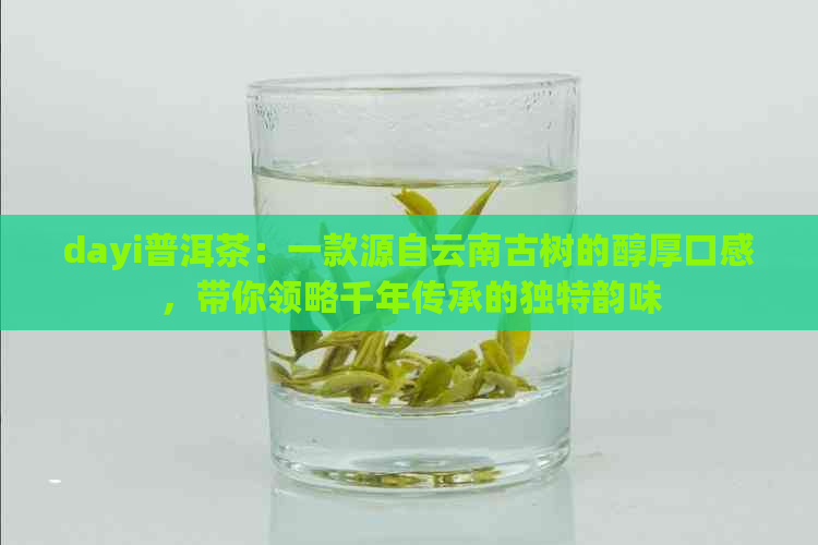 dayi普洱茶：一款源自云南古树的醇厚口感，带你领略千年传承的独特韵味