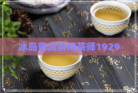 冰岛普洱茶问茶师1929