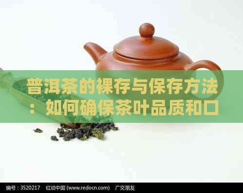 普洱茶的裸存与保存方法：如何确保茶叶品质和口感？