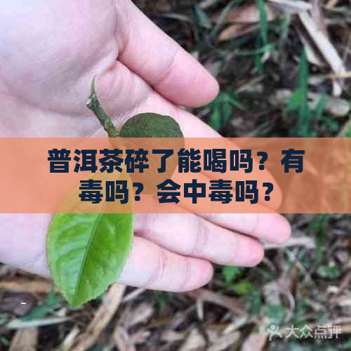 普洱茶碎了能喝吗？有吗？会中吗？