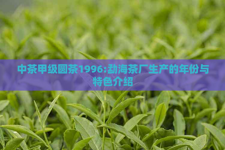 中茶甲级圆茶1996:勐海茶厂生产的年份与特色介绍