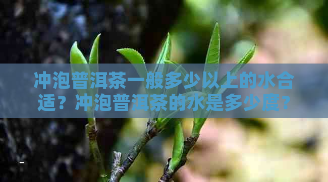 冲泡普洱茶一般多少以上的水合适？冲泡普洱茶的水是多少度？