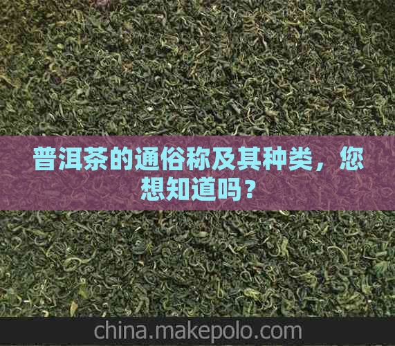 普洱茶的通俗称及其种类，您想知道吗？