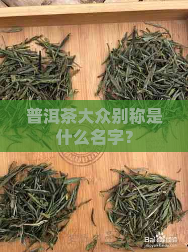 普洱茶大众别称是什么名字？