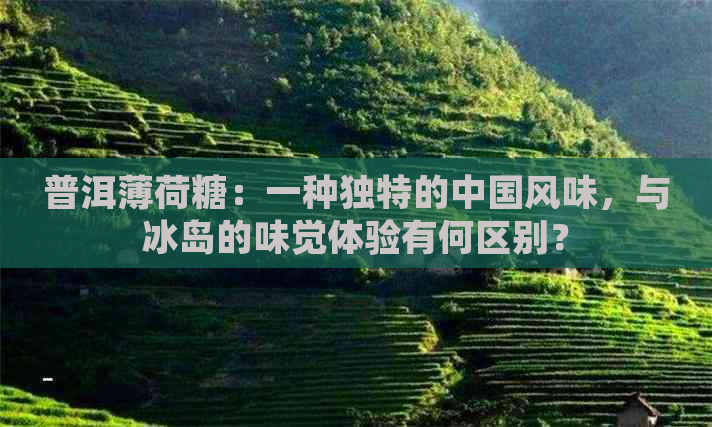 普洱薄荷糖：一种独特的中国风味，与冰岛的味觉体验有何区别？