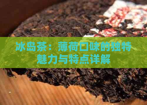 冰岛茶：薄荷口味的独特魅力与特点详解