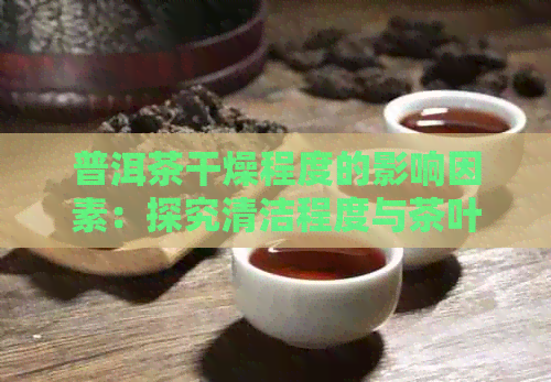 普洱茶干燥程度的影响因素：探究清洁程度与茶叶品质之间的关系