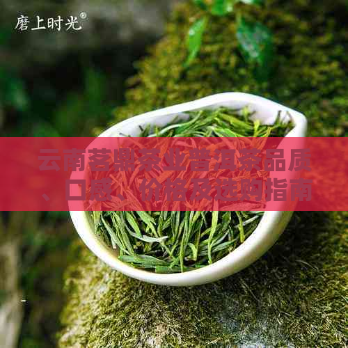 云南茗鼎茶业普洱茶品质、口感、价格及选购指南，一次看清所有疑问