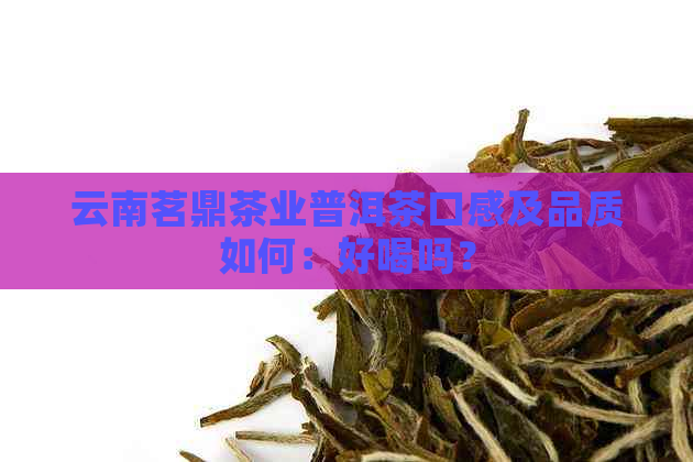 云南茗鼎茶业普洱茶口感及品质如何：好喝吗？