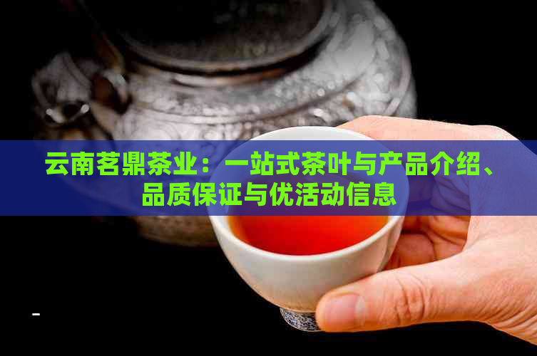 云南茗鼎茶业：一站式茶叶与产品介绍、品质保证与优活动信息