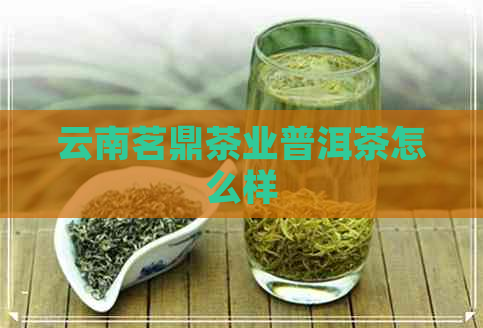 云南茗鼎茶业普洱茶怎么样