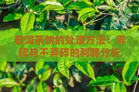 普洱茶饼的处理方法：弄碎与不弄碎的利弊分析，如何选择泡法？