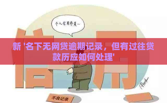 新 '名下无网贷逾期记录，但有过往贷款历应如何处理'