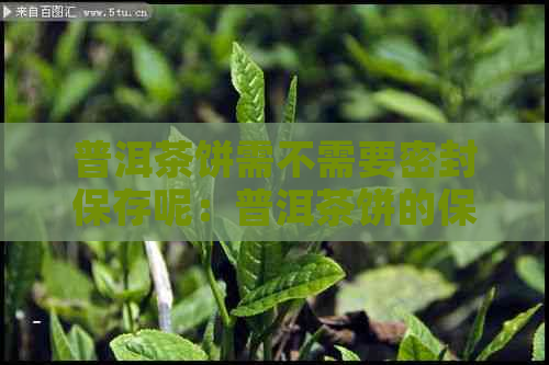 普洱茶饼需不需要密封保存呢：普洱茶饼的保存方法