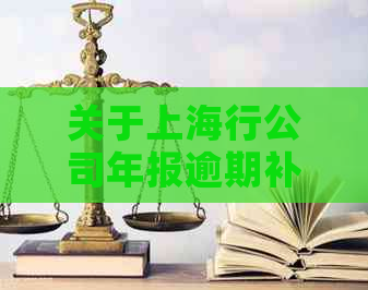 关于上海行公司年报逾期补报问题，用户可能遇到的疑问和解决方案一览