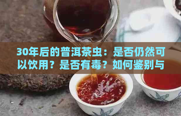 30年后的普洱茶虫：是否仍然可以饮用？是否有？如何鉴别与处理？