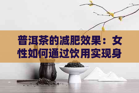 普洱茶的减肥效果：女性如何通过饮用实现身材管理