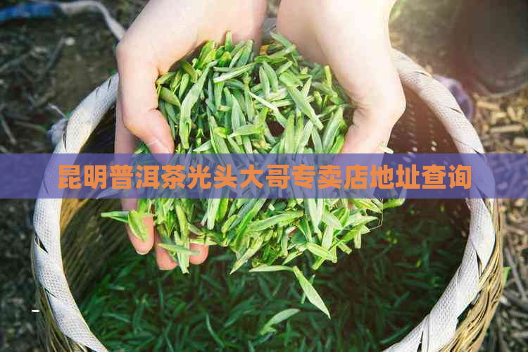 昆明普洱茶光头大哥专卖店地址查询