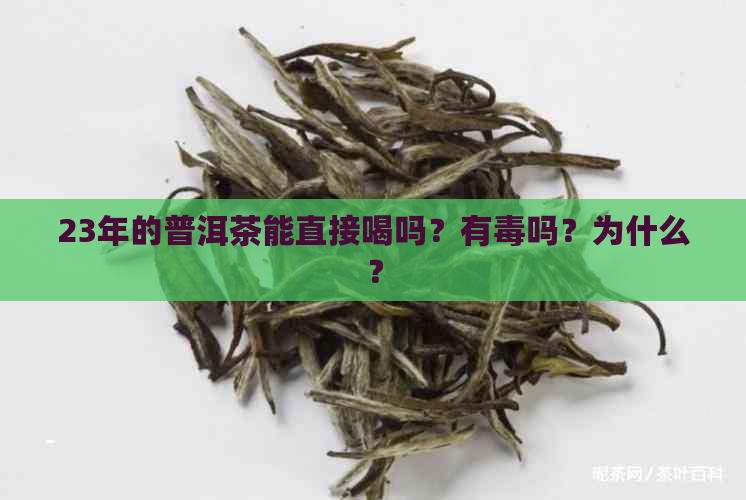 23年的普洱茶能直接喝吗？有吗？为什么？