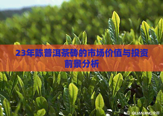 23年陈普洱茶砖的市场价值与投资前景分析