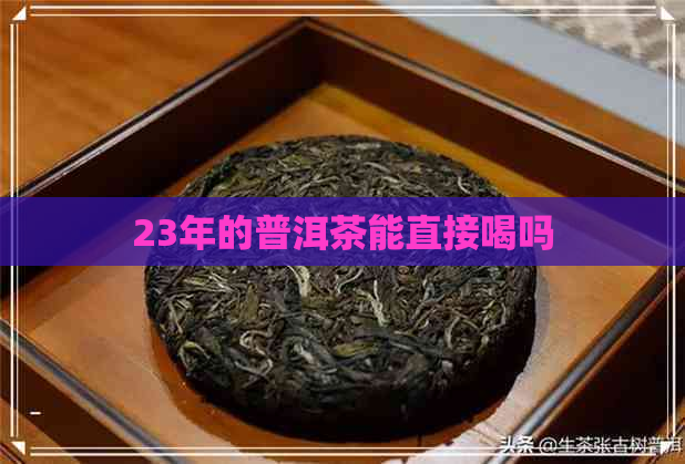 23年的普洱茶能直接喝吗