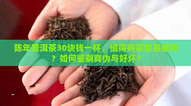 陈年普洱茶30块钱一杯，值得购买和品鉴吗？如何鉴别真伪与好坏？