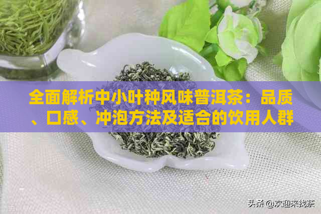 全面解析中小叶种风味普洱茶：品质、口感、冲泡方法及适合的饮用人群