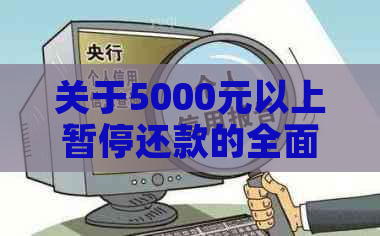 关于5000元以上暂停还款的全面解析：原因、影响与解决办法