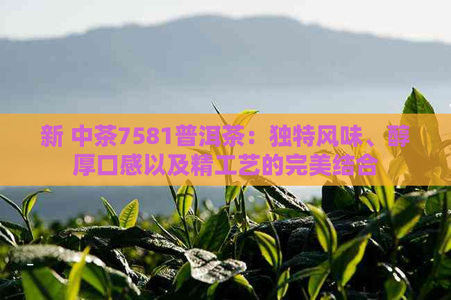 新 中茶7581普洱茶：独特风味、醇厚口感以及精工艺的完美结合