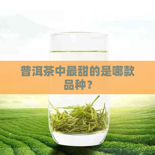 普洱茶中最甜的是哪款品种？