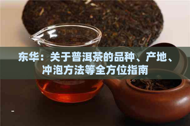 东华：关于普洱茶的品种、产地、冲泡方法等全方位指南