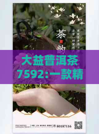 大益普洱茶7592:一款精选原料制作的高品质熟茶，口感醇厚，回味悠长