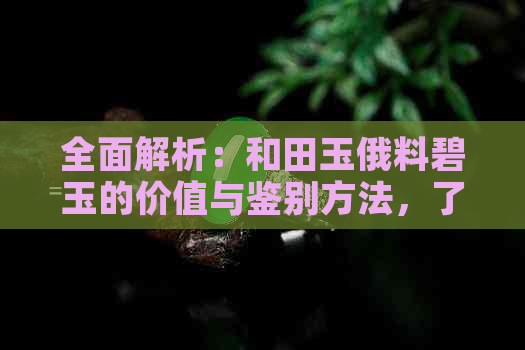 全面解析：和田玉俄料碧玉的价值与鉴别方法，了解其市场行情与投资潜力