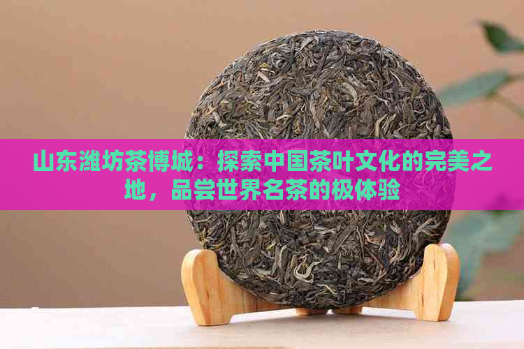 山东潍坊茶博城：探索中国茶叶文化的完美之地，品尝世界名茶的极体验