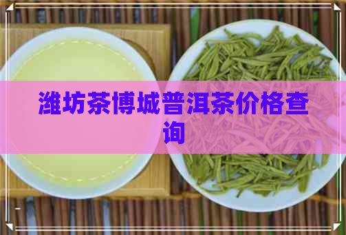 潍坊茶博城普洱茶价格查询