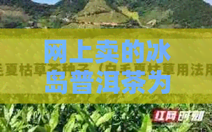 网上卖的冰岛普洱茶为什么便宜？真的吗？