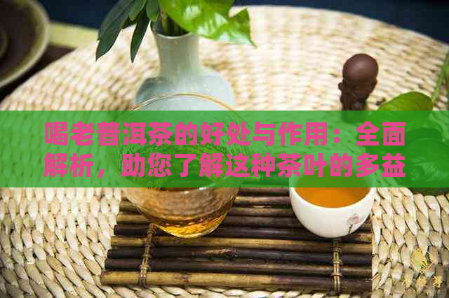 喝老普洱茶的好处与作用：全面解析，助您了解这种茶叶的多益处