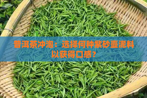 普洱茶冲泡：选择何种紫砂壶泥料以获得口感？