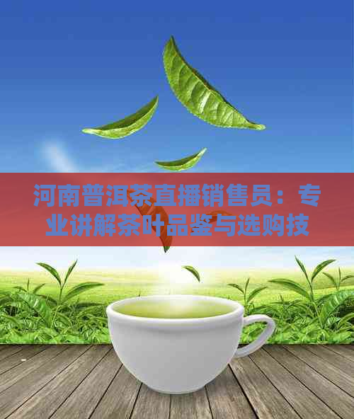 河南普洱茶直播销售员：专业讲解茶叶品鉴与选购技巧