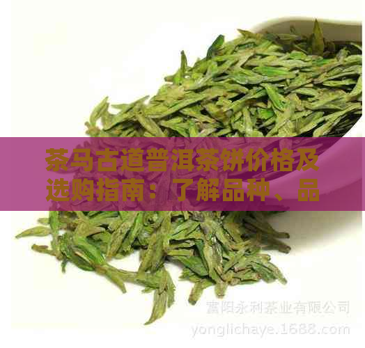 茶马古道普洱茶饼价格及选购指南：了解品种、品质与收藏价值