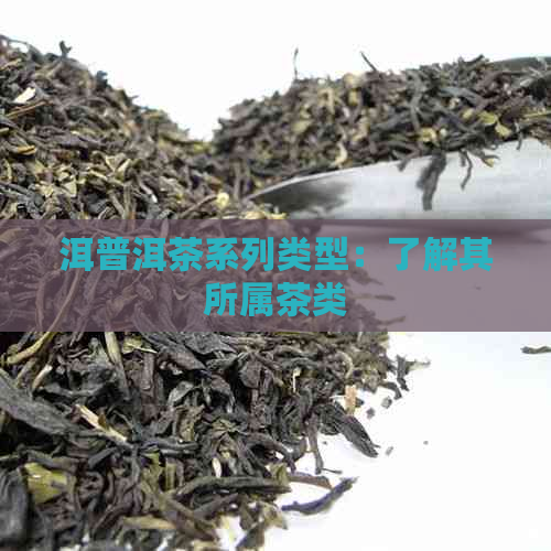 洱普洱茶系列类型：了解其所属茶类