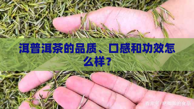 洱普洱茶的品质、口感和功效怎么样？