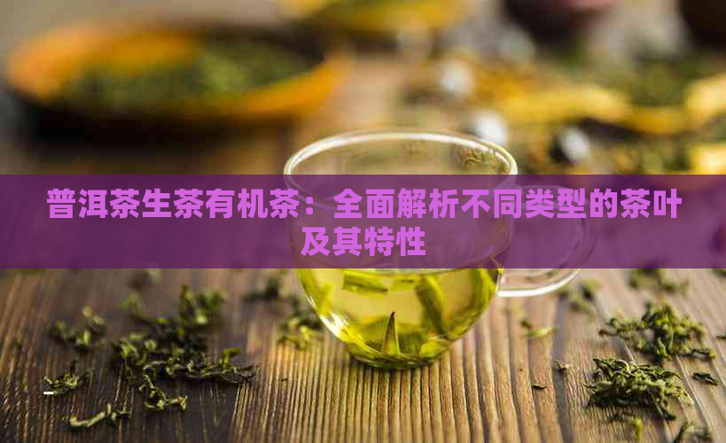 普洱茶生茶有机茶：全面解析不同类型的茶叶及其特性