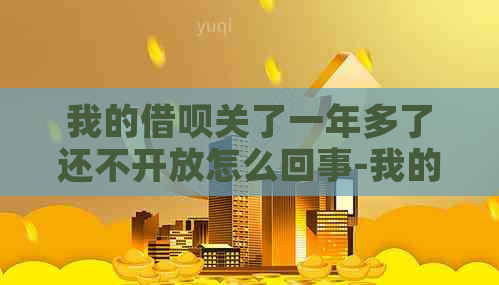 我的借呗关了一年多了还不开放怎么回事-我的借呗关了一年多了还不开放怎么回事呢