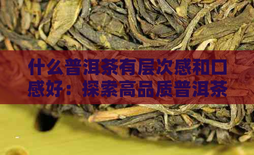 什么普洱茶有层次感和口感好：探索高品质普洱茶的关键元素